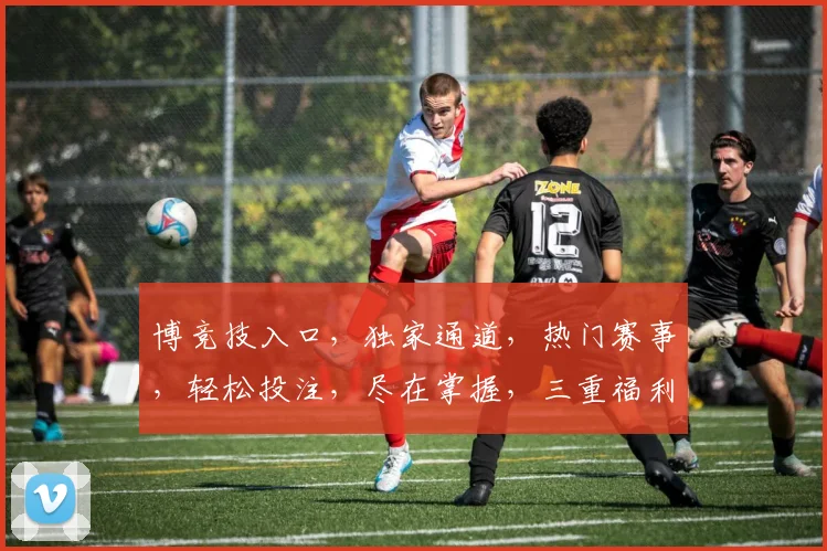 博竞技入口，独家通道，热门赛事，轻松投注，尽在掌握，三重福利，不容错过